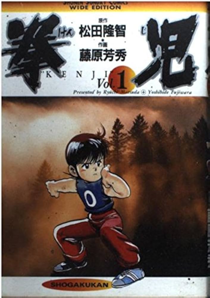拳児 1〜12巻まで コミック】拳児(文庫版)(全12巻)セット | 全巻セットまとめ買い